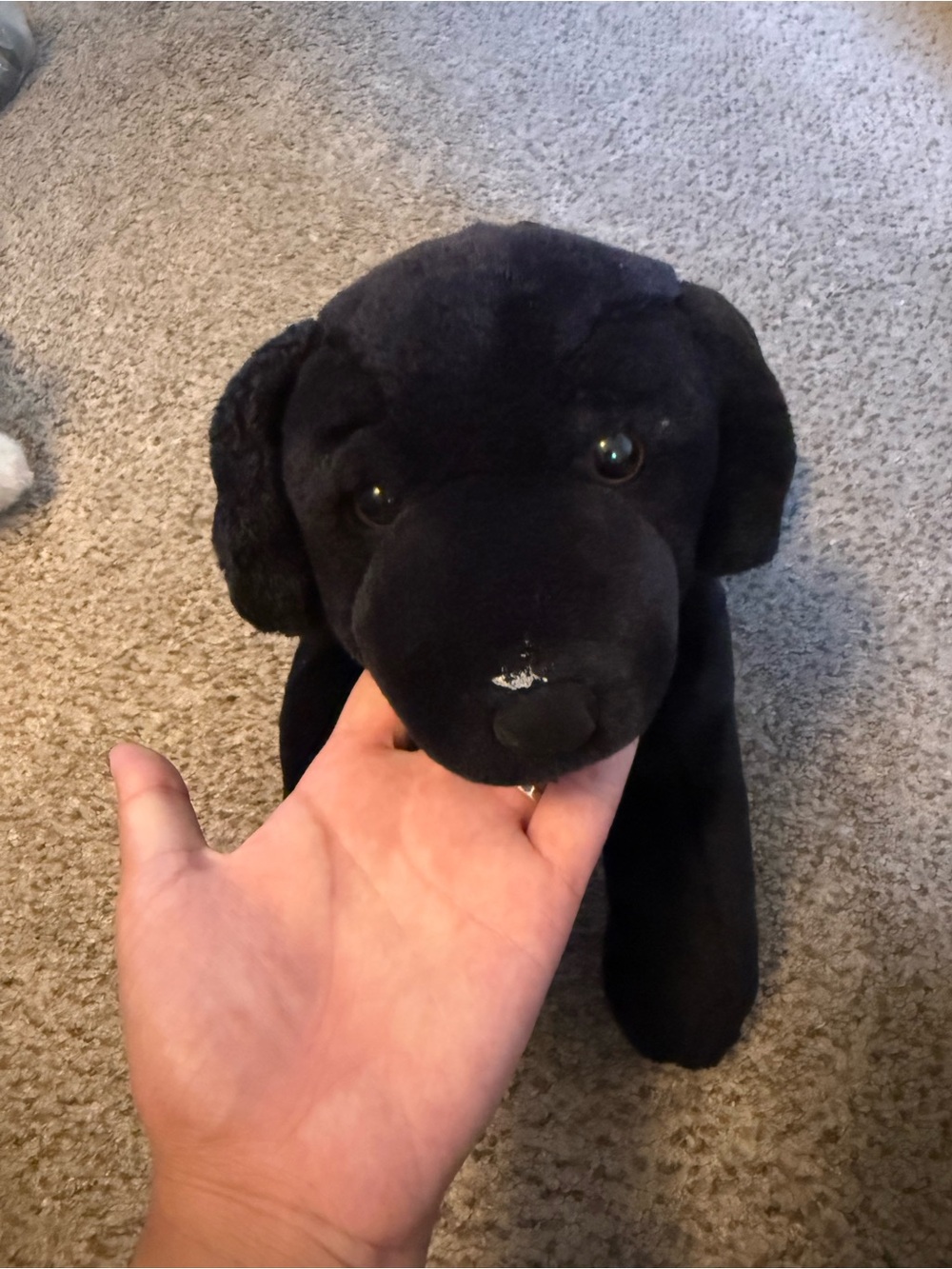 Plush Black Dog Toy - Soft Pet Plush